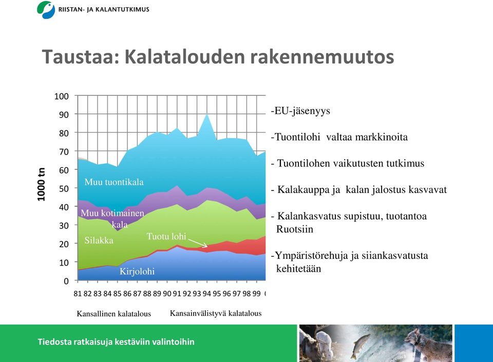 Tuotu lohi - Kalakauppa ja kalan jalostus kasvavat - Kalankasvatus supistuu, tuotantoa