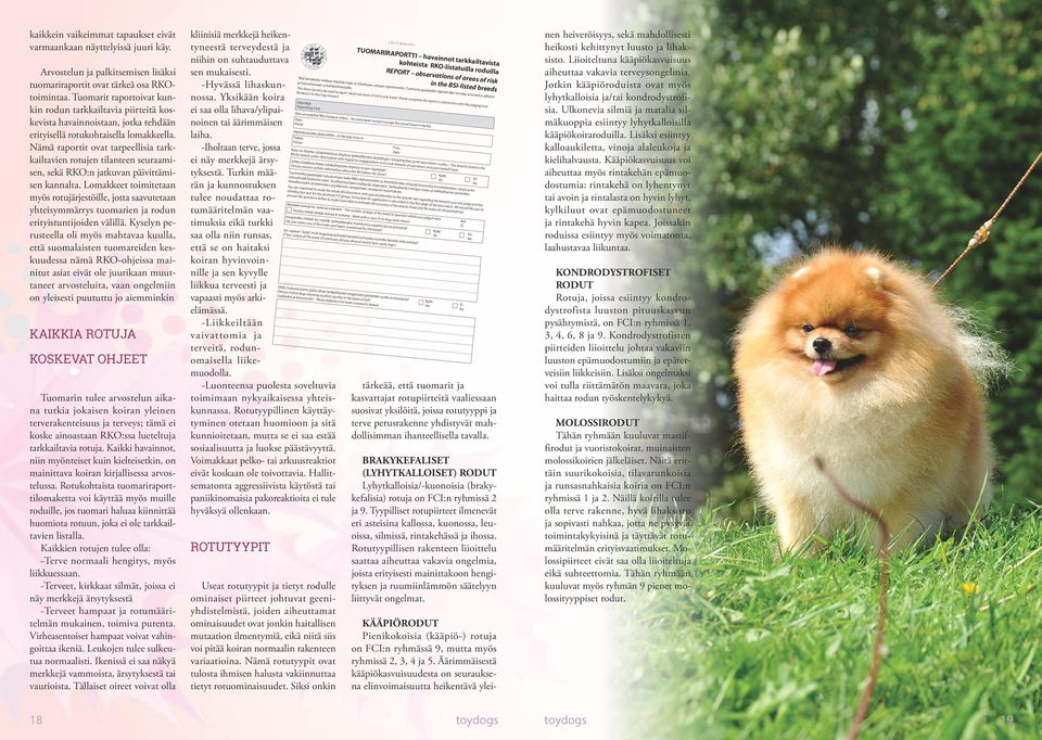 Nämä raportit ovat tarpeellisia tarkkailtavien rotujen tilanteen seuraamisen, sekä RKO:n jatkuvan päivittämisen kannalta.