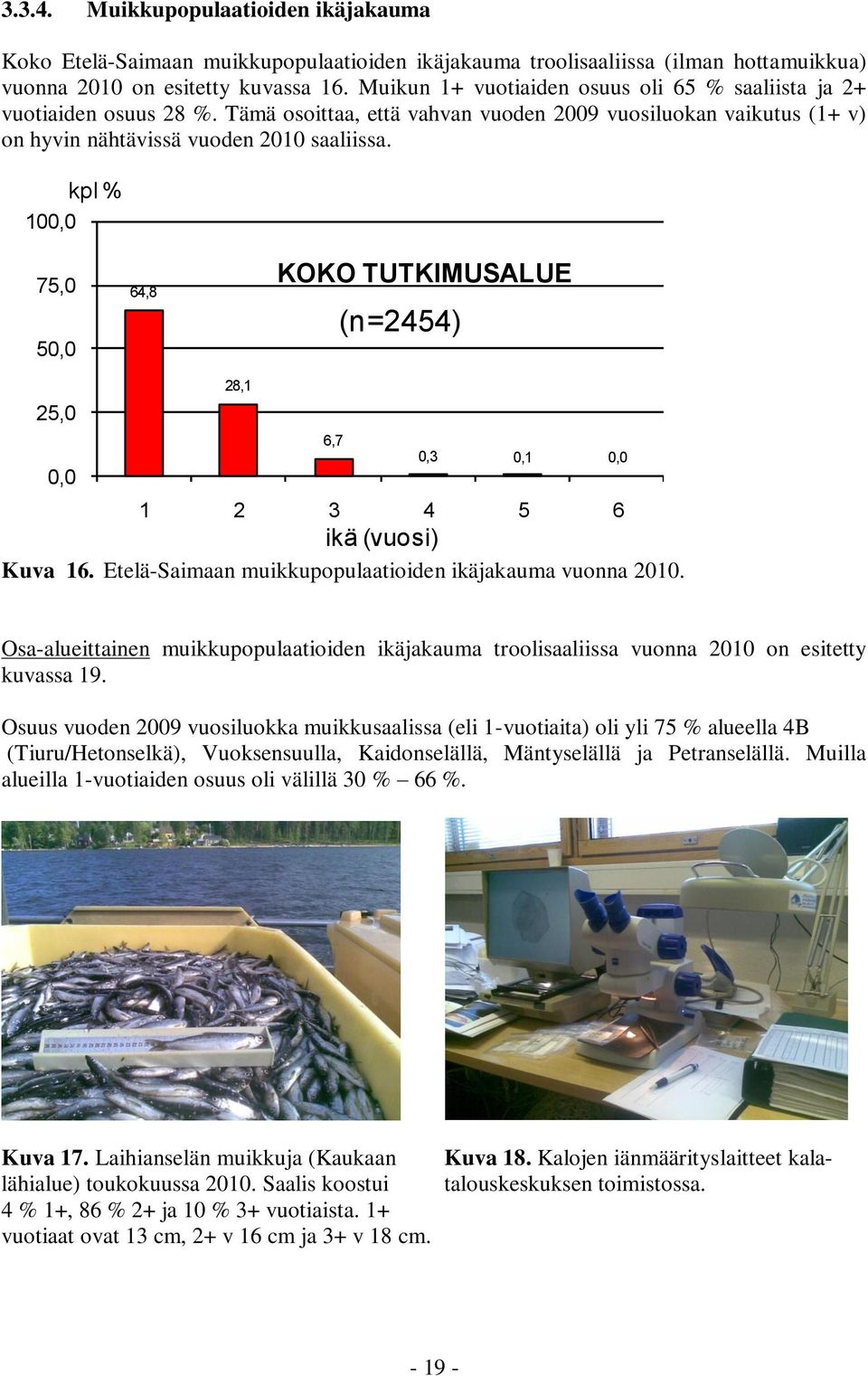 100,0 kpl % 75,0 50,0 64,8 KOKO TUTKIMUSALUE (n=2454) 25,0 0,0 28,1 6,7 0,3 0,1 0,0 1 2 3 4 5 6 ikä (vuosi) Kuva 16. Etelä-Saimaan muikkupopulaatioiden ikäjakauma vuonna 2010.