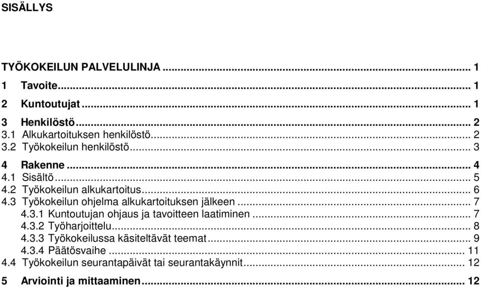 .. 7 4.3.2 Työharjoittelu... 8 4.3.3 Työkokeilussa käsiteltävät teemat... 9 4.3.4 Päätösvaihe... 11 4.