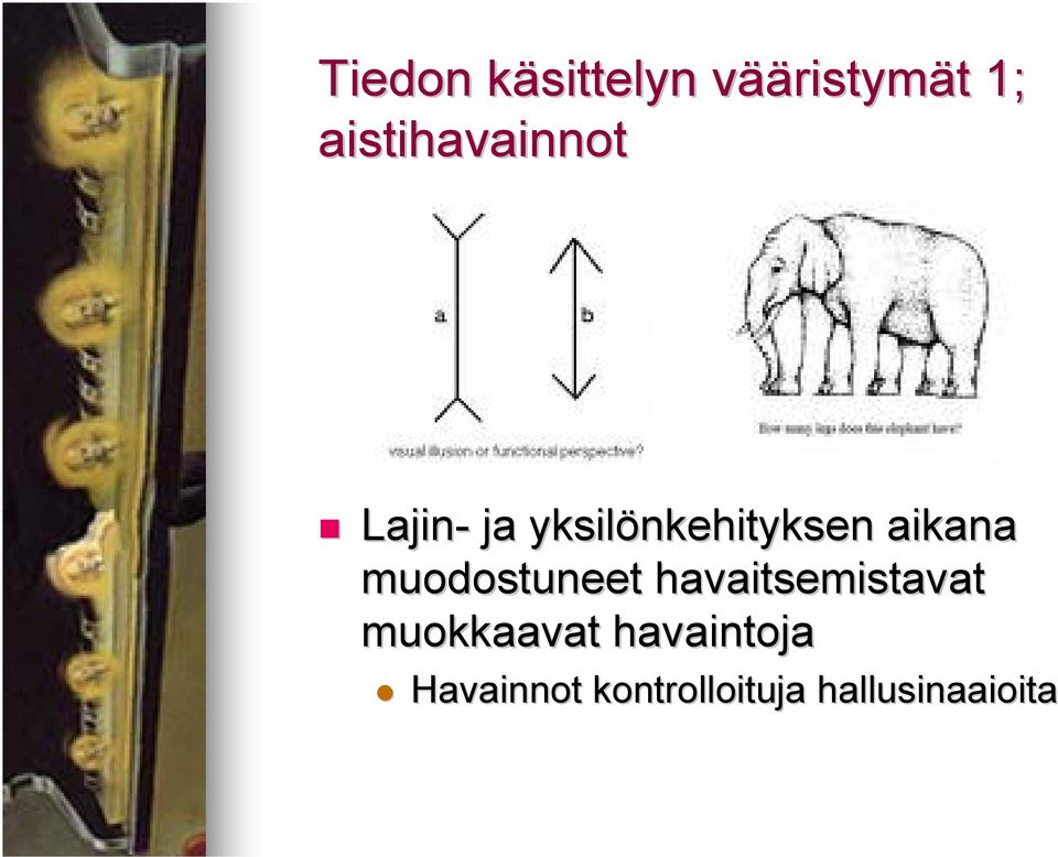 aikana muodostuneet havaitsemistavat