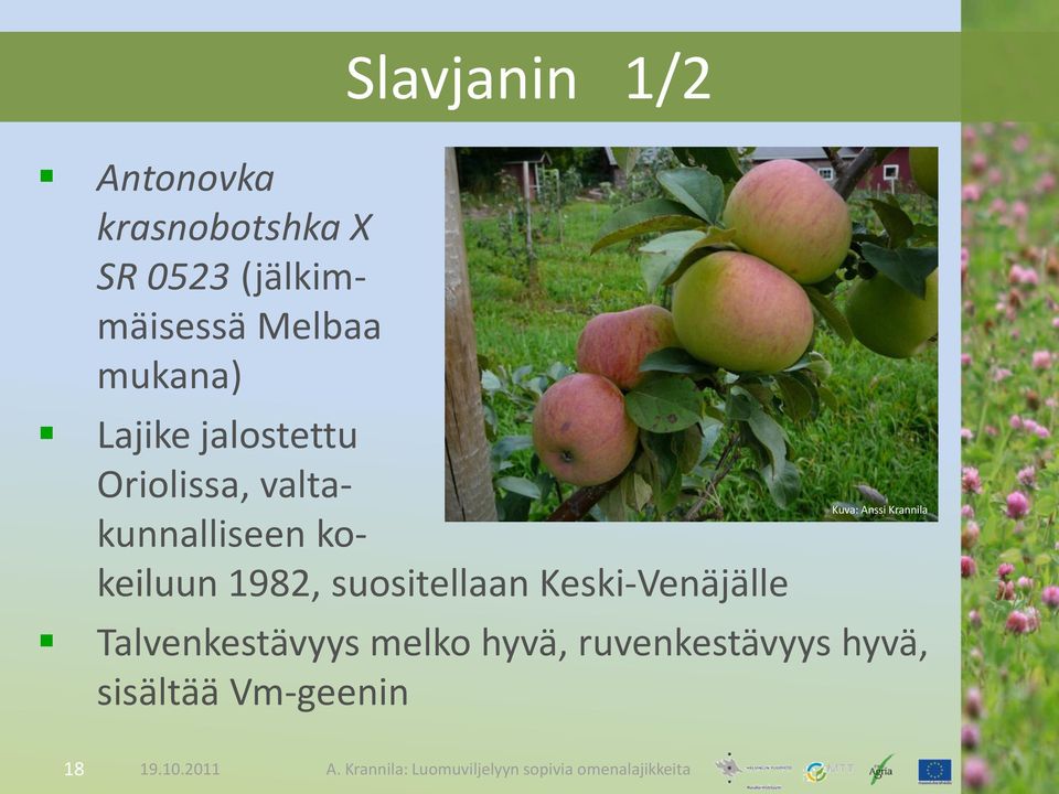 valtakunnalliseen kokeiluun 1982, suositellaan Keski-Venäjälle