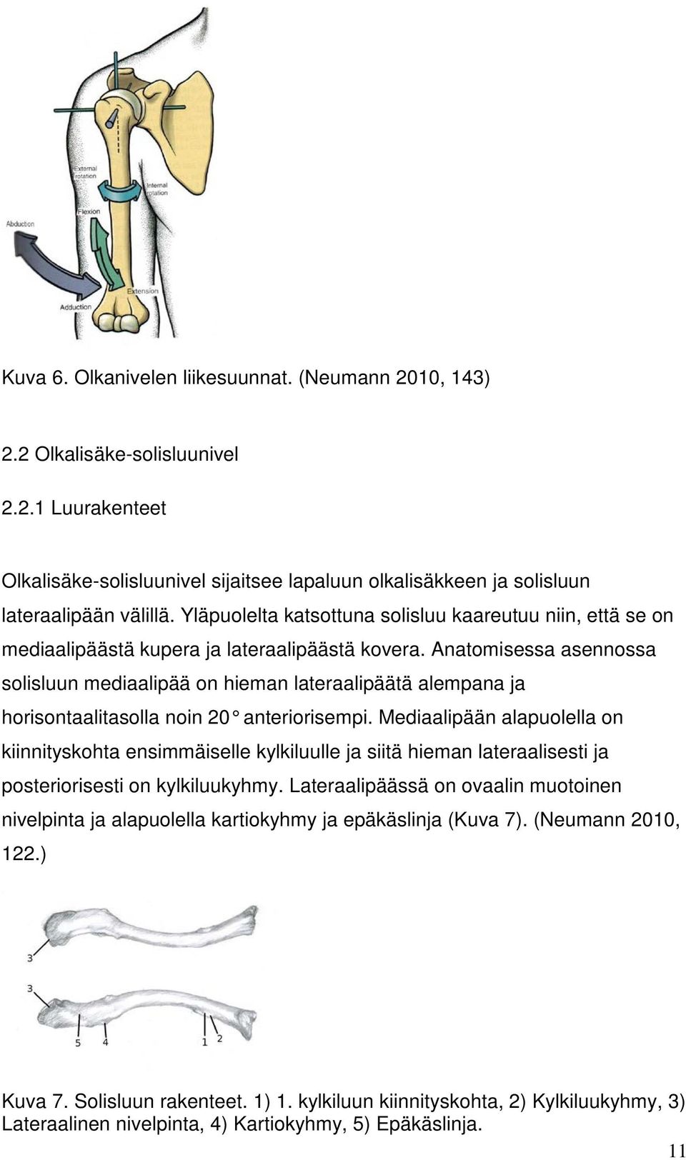 Anatomisessa asennossa solisluun mediaalipää on hieman lateraalipäätä alempana ja horisontaalitasolla noin 20 anteriorisempi.