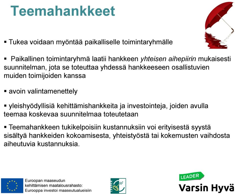 yleishyödyllisiä kehittämishankkeita ja investointeja, joiden avulla teemaa koskevaa suunnitelmaa toteutetaan Teemahankkeen