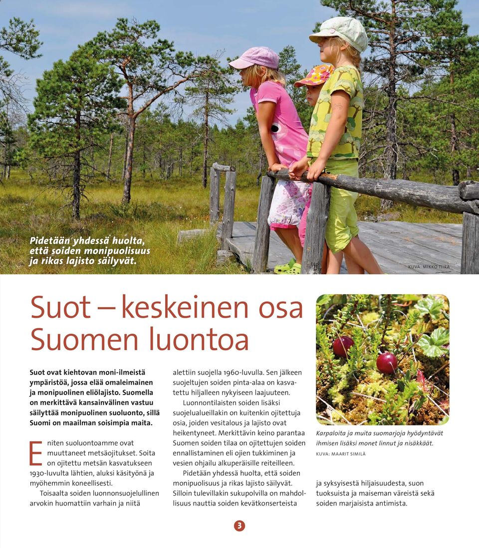 Suomella on merkittävä kansainvälinen vastuu säilyttää monipuolinen suoluonto, sillä Suomi on maailman soisimpia maita. Eniten suoluontoamme ovat muuttaneet metsäojitukset.