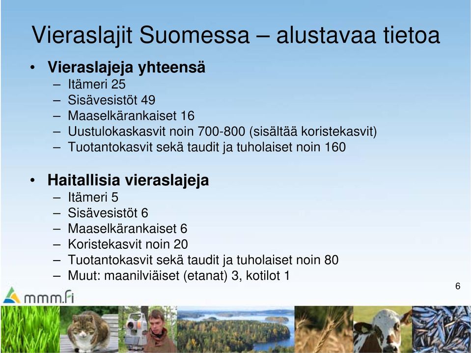 taudit ja tuholaiset noin 160 Haitallisia vieraslajeja Itämeri 5 Sisävesistöt 6 Maaselkärankaiset 6