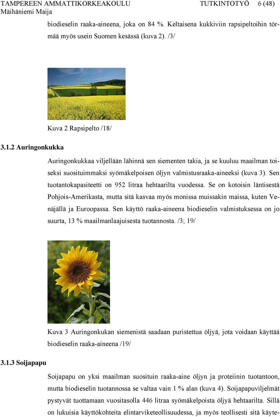 Sen tuotantokapasiteetti on 952 litraa hehtaarilta vuodessa. Se on kotoisin läntisestä Pohjois-Amerikasta, mutta sitä kasvaa myös monissa muissakin maissa, kuten Venäjällä ja Euroopassa.