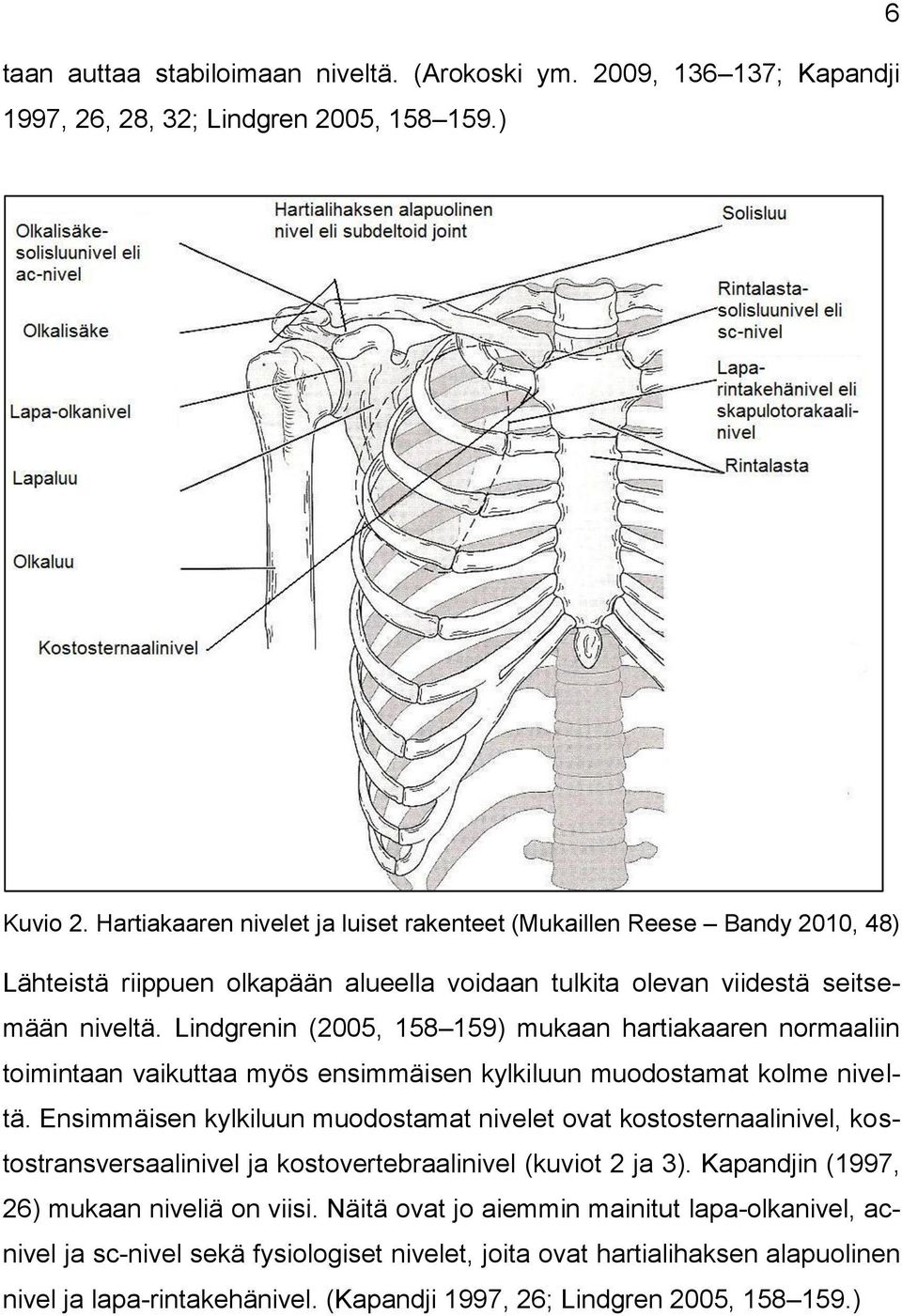 Lindgrenin (2005, 158 159) mukaan hartiakaaren normaaliin toimintaan vaikuttaa myös ensimmäisen kylkiluun muodostamat kolme niveltä.