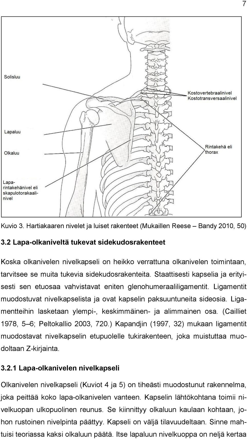 Staattisesti kapselia ja erityisesti sen etuosaa vahvistavat eniten glenohumeraaliligamentit. Ligamentit muodostuvat nivelkapselista ja ovat kapselin paksuuntuneita sideosia.