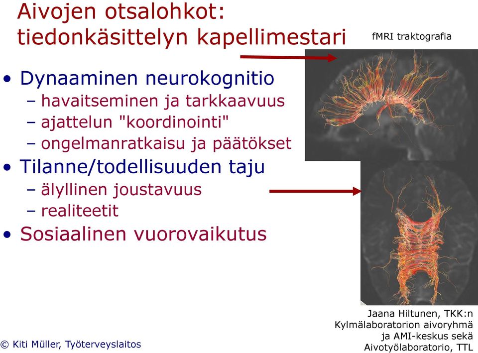 päätökset Tilanne/todellisuuden taju älyllinen joustavuus realiteetit Sosiaalinen