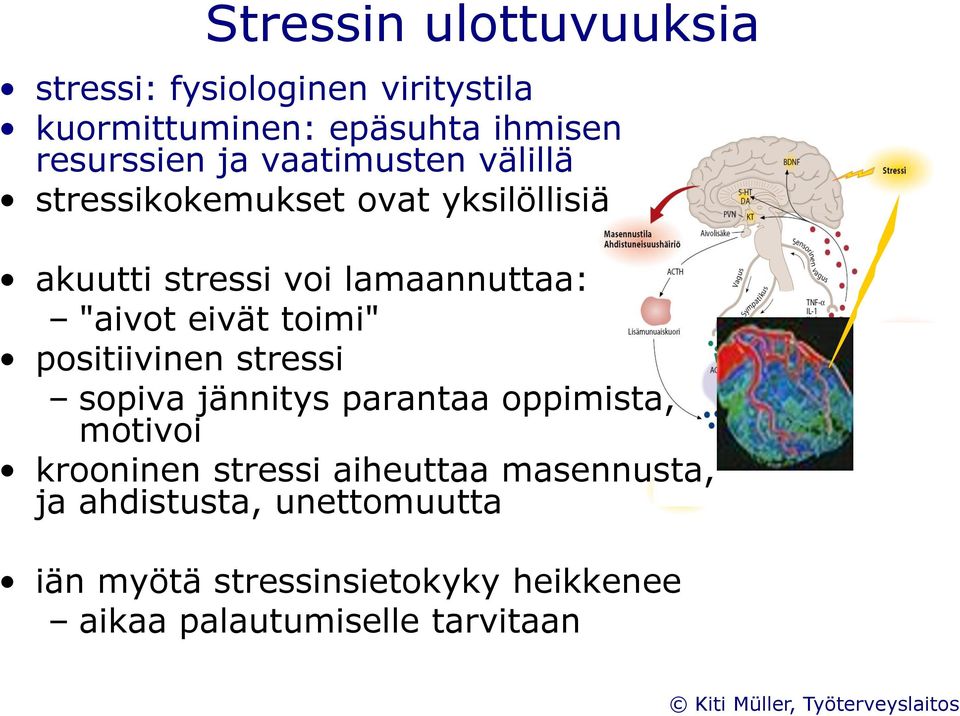 toimi" positiivinen stressi sopiva jännitys parantaa oppimista, motivoi krooninen stressi aiheuttaa