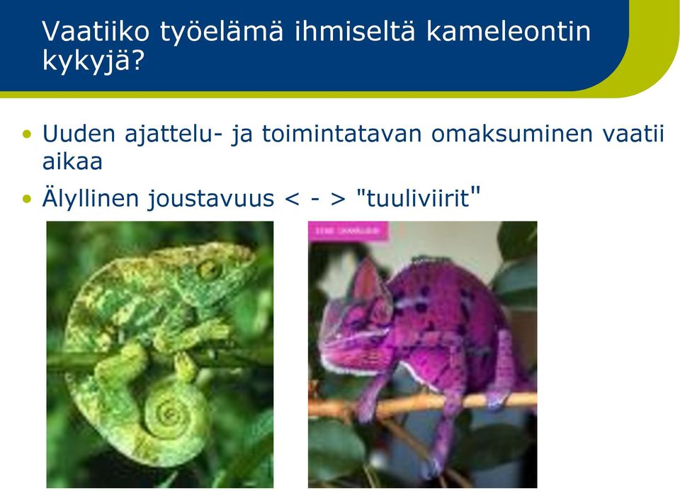 Uuden ajattelu- ja toimintatavan