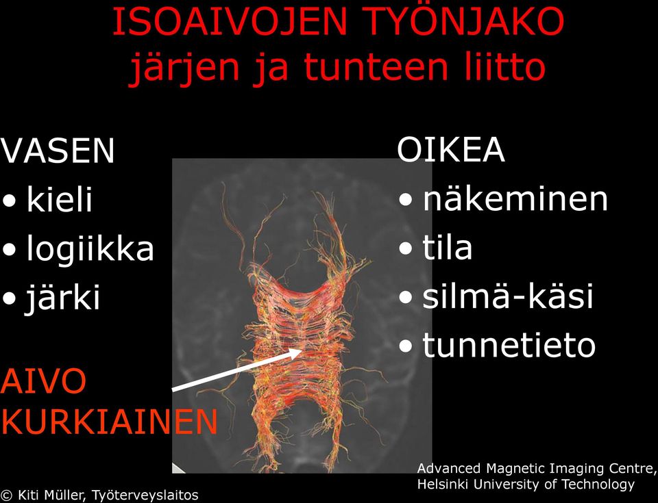 näkeminen tila silmä-käsi tunnetieto Advanced