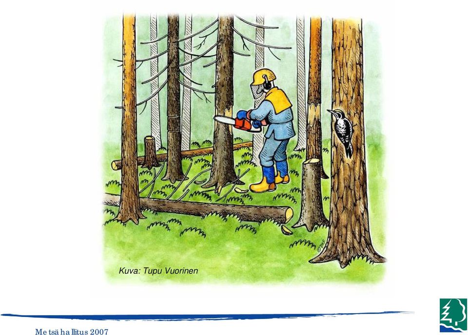 Vuorinen
