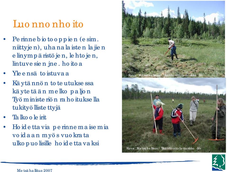 hoitoa Yleensä toistuvaa Käytännön toteutuksessa käytetään melko paljon Työministeriön rahoituksella