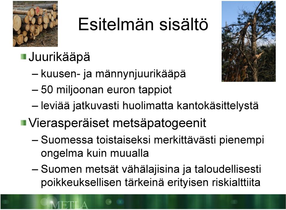 metsäpatogeenit Suomessa toistaiseksi merkittävästi pienempi ongelma kuin