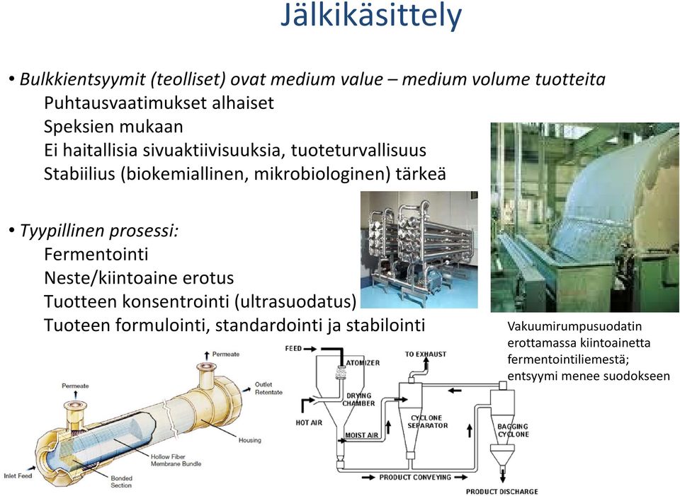 tärkeä Tyypillinen prosessi: Fermentointi Neste/kiintoaine erotus Tuotteen konsentrointi (ultrasuodatus) Tuoteen
