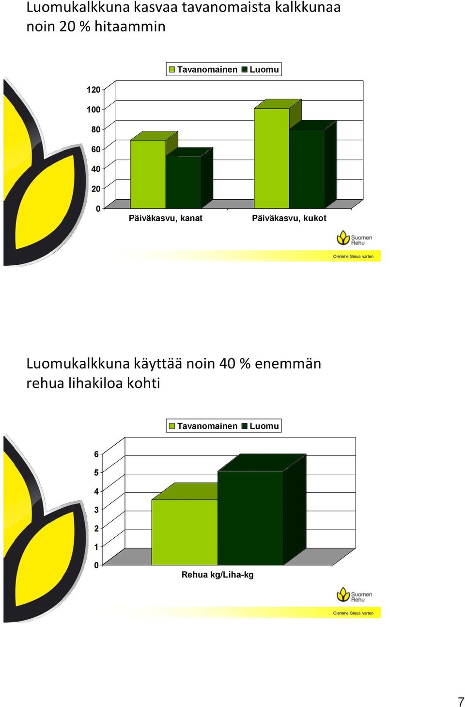 Päiväkasvu, kukot kalkkuna käyttää noin 40 %