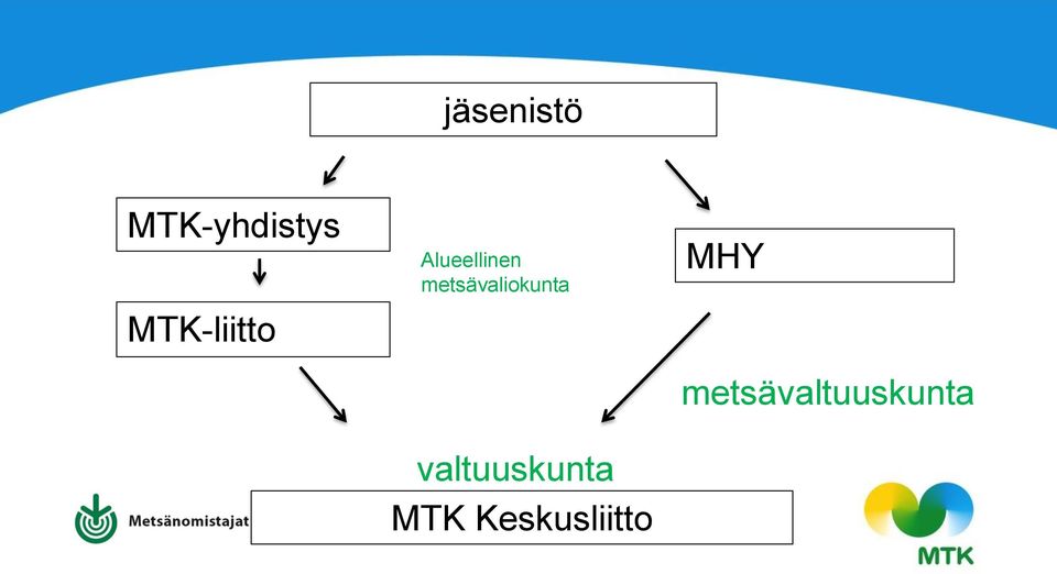 metsävaliokunta valtuuskunta