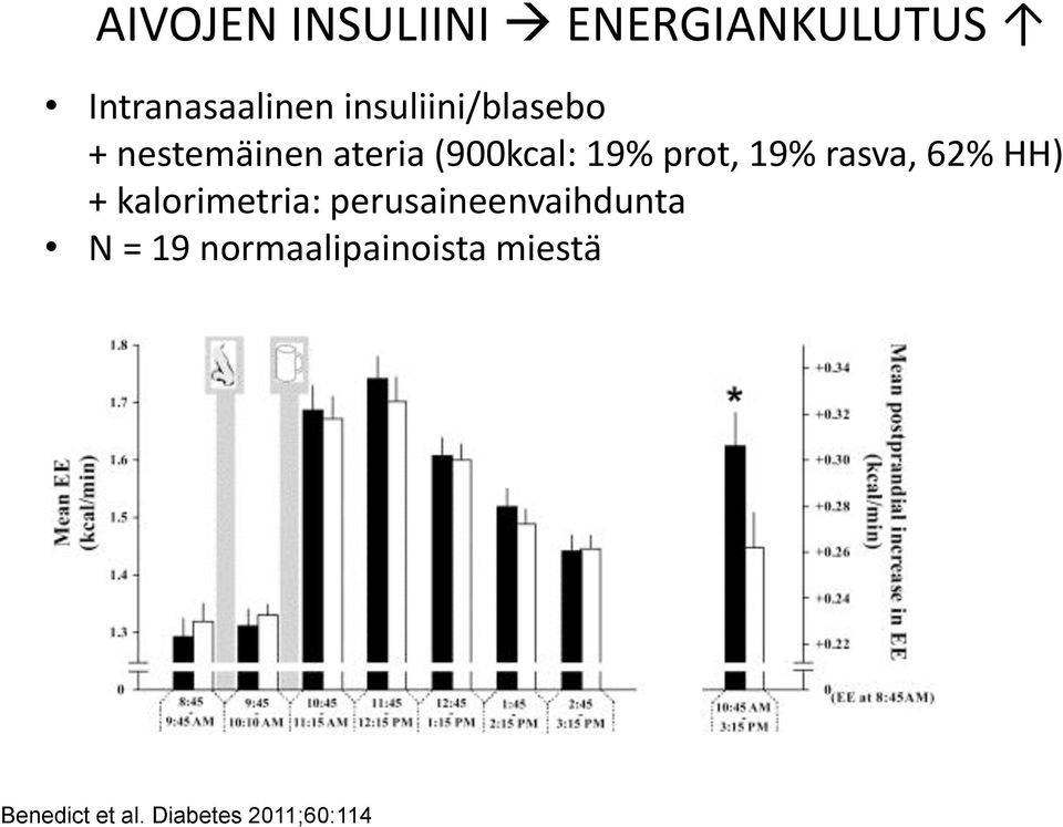 19% rasva, 62% HH) + kalorimetria: perusaineenvaihdunta N