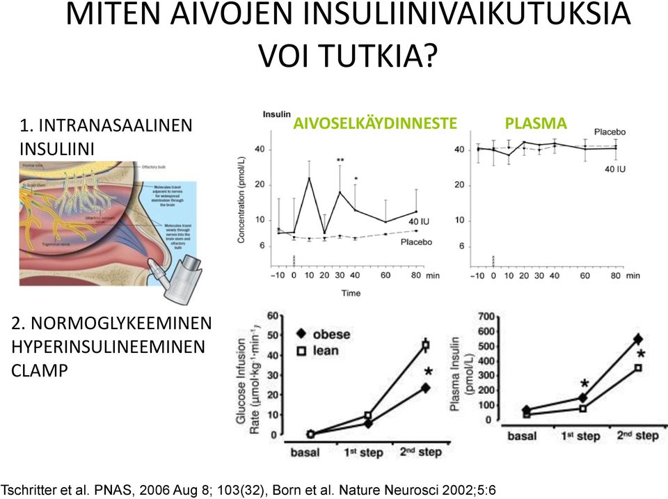 INSULIINIVAIKUTUKSIA VOI TUTKIA? 1.