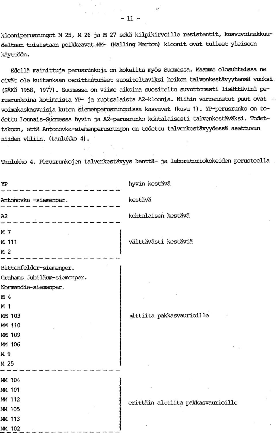 Suomessa on viime aikoina suositeltu suvuttomasti lisättävinä perusrunkoina kotimaista YP- ja ruotsalaista A2-kloonia.