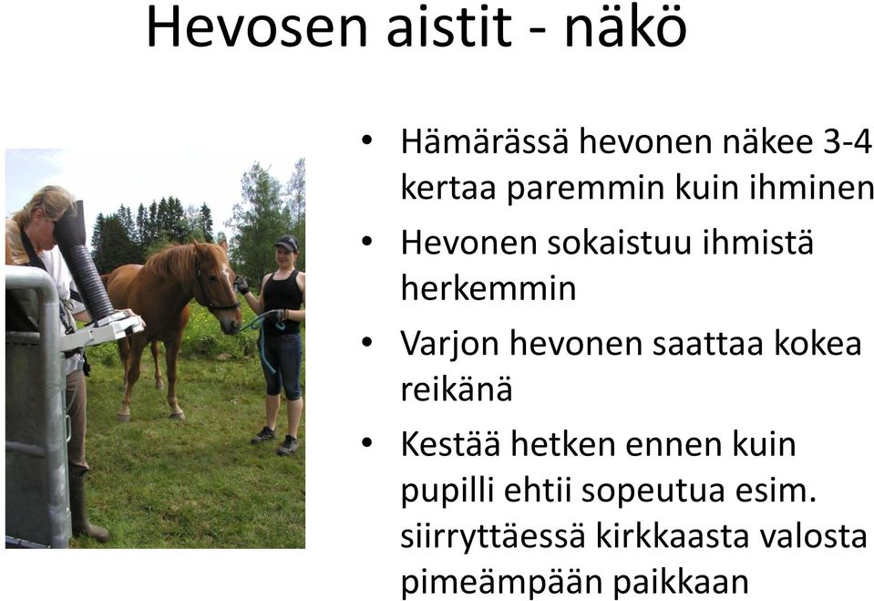 hevonen saattaa kokea reikänä Kestää hetken ennen kuin pupilli