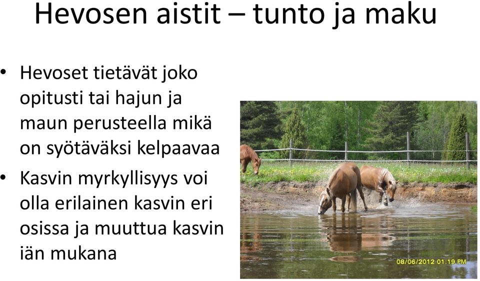 syötäväksi kelpaavaa Kasvin myrkyllisyys voi olla