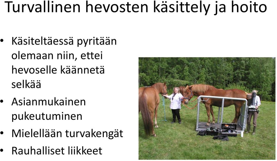 hevoselle käännetä selkää Asianmukainen