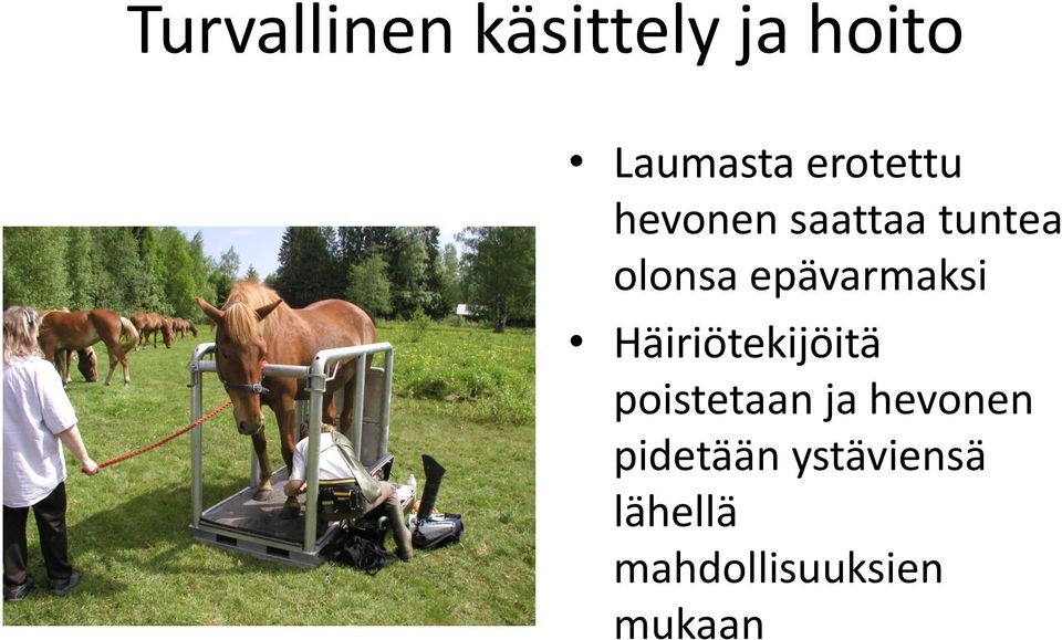 epävarmaksi Häiriötekijöitä poistetaan ja