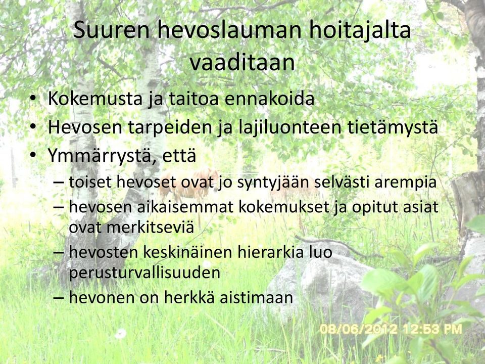 syntyjään selvästi arempia hevosen aikaisemmat kokemukset ja opitut asiat ovat