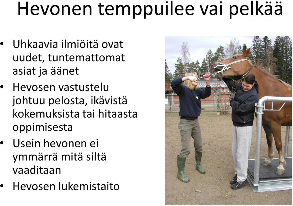 pelosta, ikävistä kokemuksista tai hitaasta oppimisesta