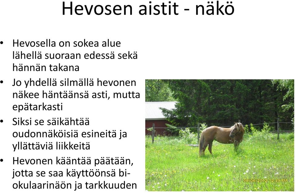 epätarkasti Siksi se säikähtää oudonnäköisiä esineitä ja yllättäviä