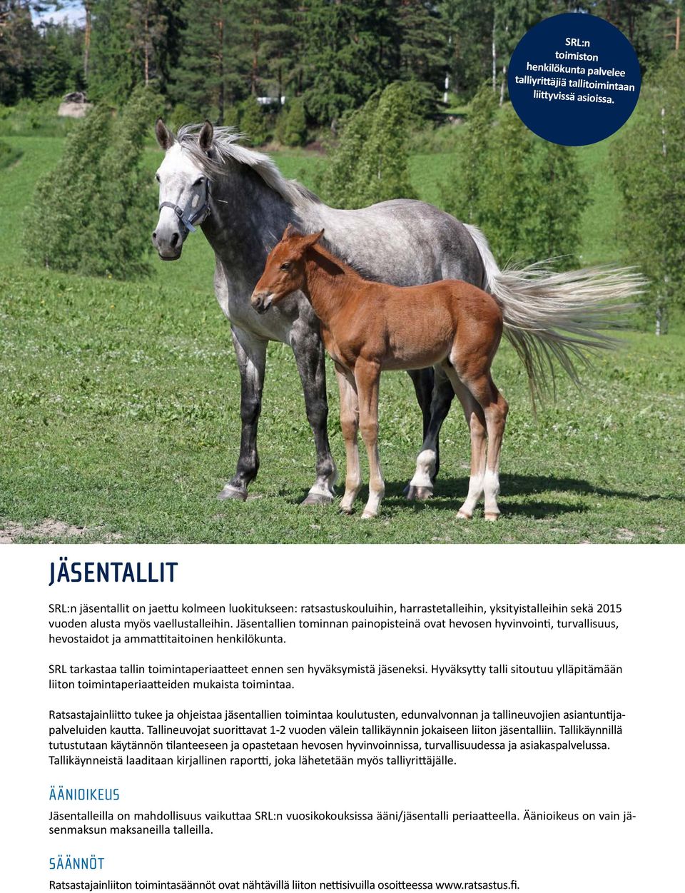 vaellustalleihin. kolmeen luokitukseen: Jäsentallien ratsastuskouluihin, tominnan painopisteinä harraste- ovat ja hevosen yksityistalleihin.