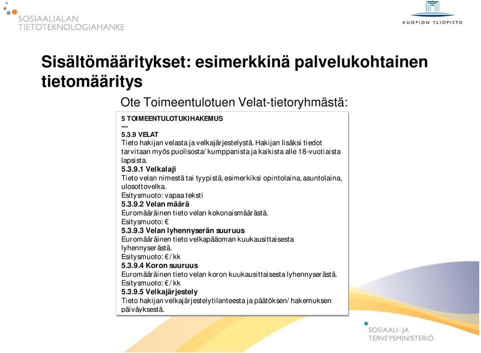 1 Velkalaji Tieto velan nimestä tai tyypistä, esimerkiksi opintolaina, asuntolaina, ulosottovelka. Esitysmuoto: vapaa teksti 5.3.9.2 Velan määrä Euromääräinen tieto velan kokonaismäärästä.