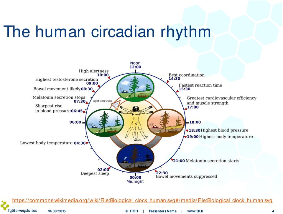 org/wiki/file:biological_clock_human.