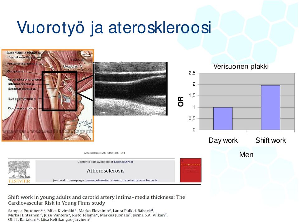 Verisuonen plakki 2 OR