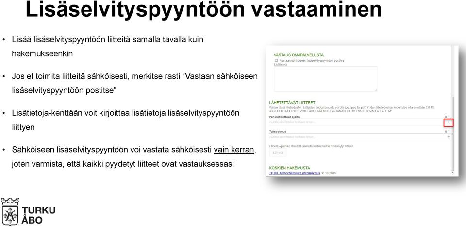 Lisätietoja-kenttään voit kirjoittaa lisätietoja lisäselvityspyyntöön liittyen Sähköiseen