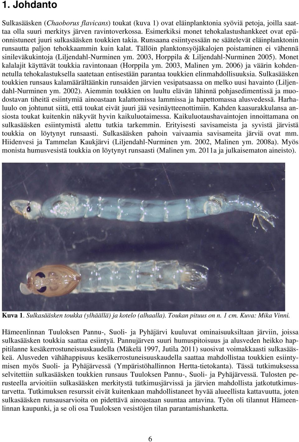 Tällöin planktonsyöjäkalojen poistaminen ei vähennä sinileväkukintoja (Liljendahl-Nurminen ym. 23, Horppila & Liljendahl-Nurminen 25). Monet kalalajit käyttävät toukkia ravintonaan (Horppila ym.
