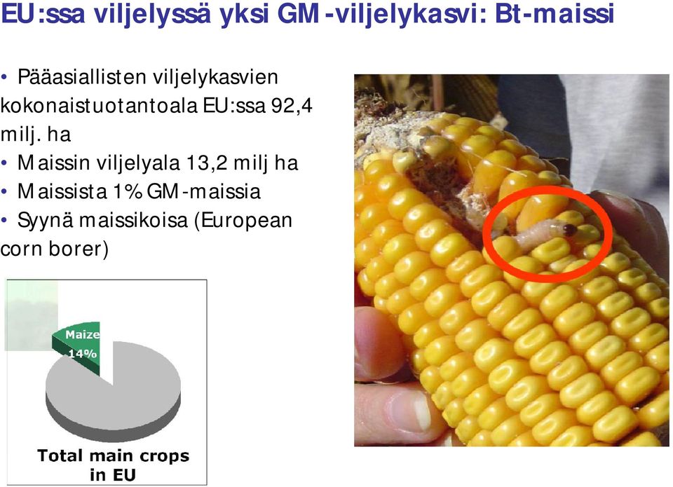 EU:ssa 92,4 milj.