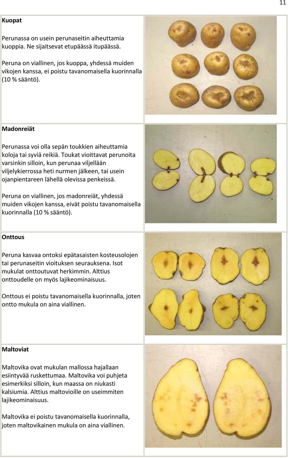 Toukat vioittavat perunoita varsinkin silloin, kun perunaa viljellään viljelykierrossa heti nurmen jälkeen, tai usein ojanpientareen lähellä olevissa penkeissä.