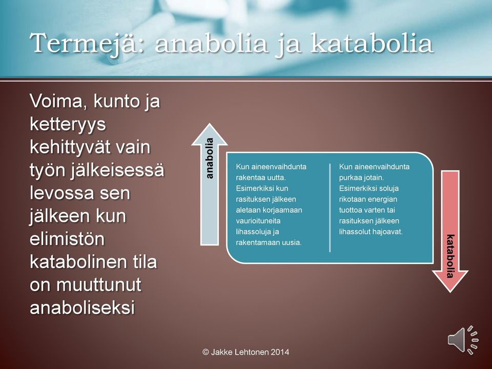 Esimerkiksi kun rasituksen jälkeen aletaan korjaamaan vaurioituneita lihassoluja ja rakentamaan uusia.