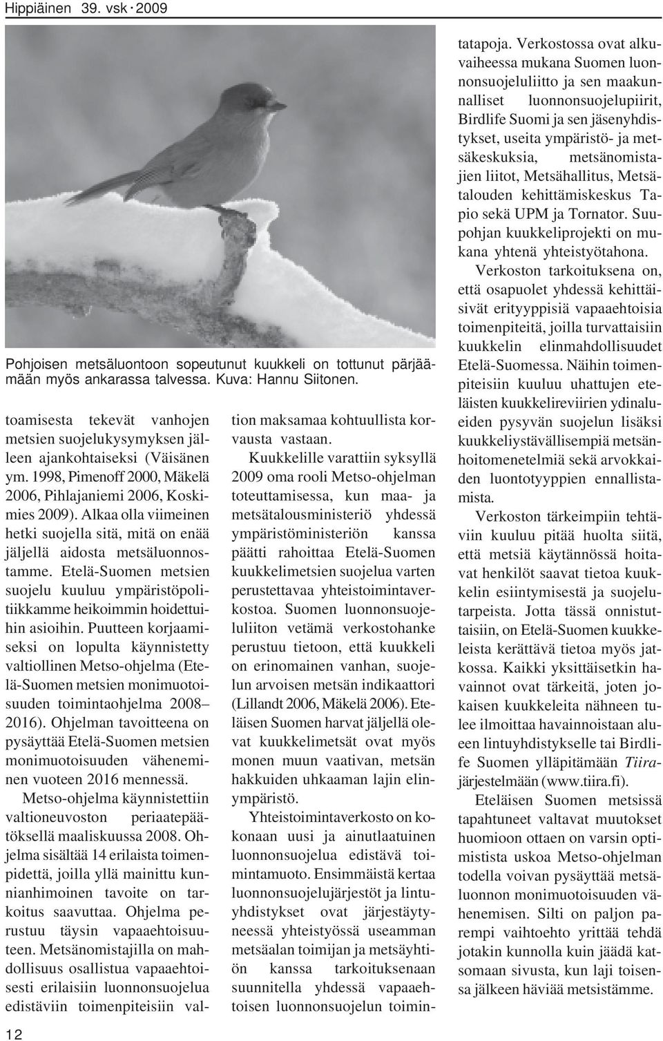 Alkaa olla viimeinen hetki suojella sitä, mitä on enää jäljellä aidosta metsäluonnostamme. Etelä-Suomen metsien suojelu kuuluu ympäristöpolitiikkamme heikoimmin hoidettuihin asioihin.