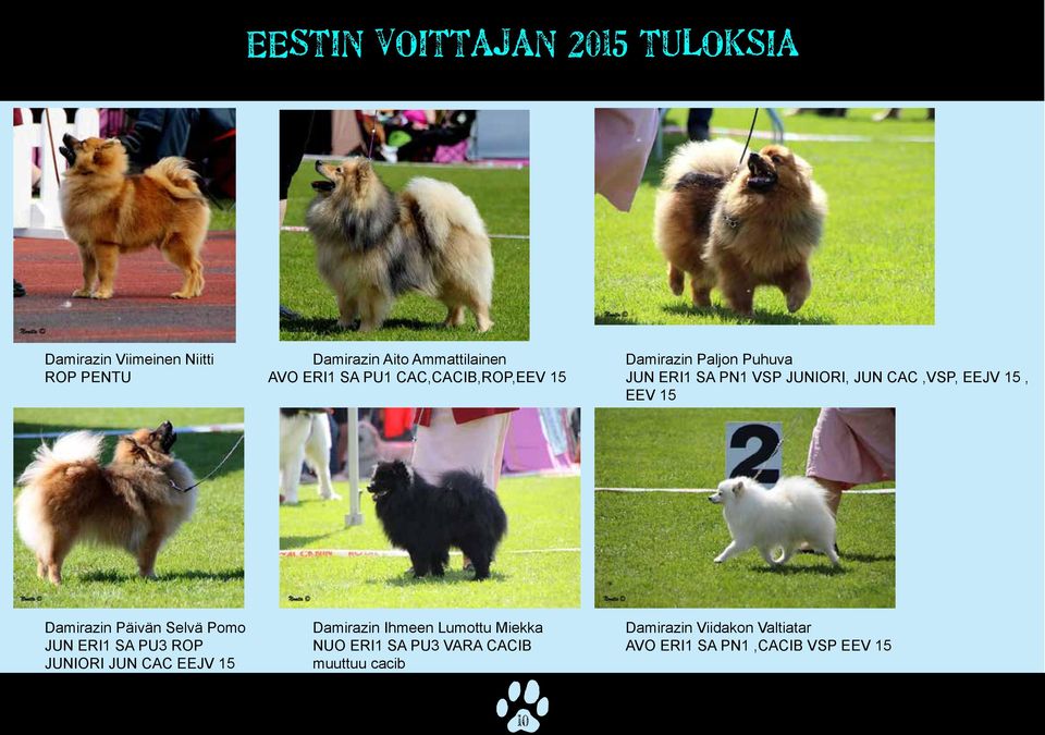 EEV 15 Damirazin Päivän Selvä Pomo Damirazin Ihmeen Lumottu Miekka Damirazin Viidakon Valtiatar JUN ERI1