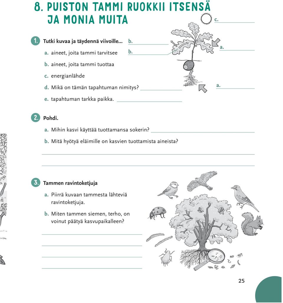 Pohdi. a. Mihin kasvi käyttää tuottamansa sokerin? b. Mitä hyötyä eläimille on kasvien tuottamista aineista? 3.