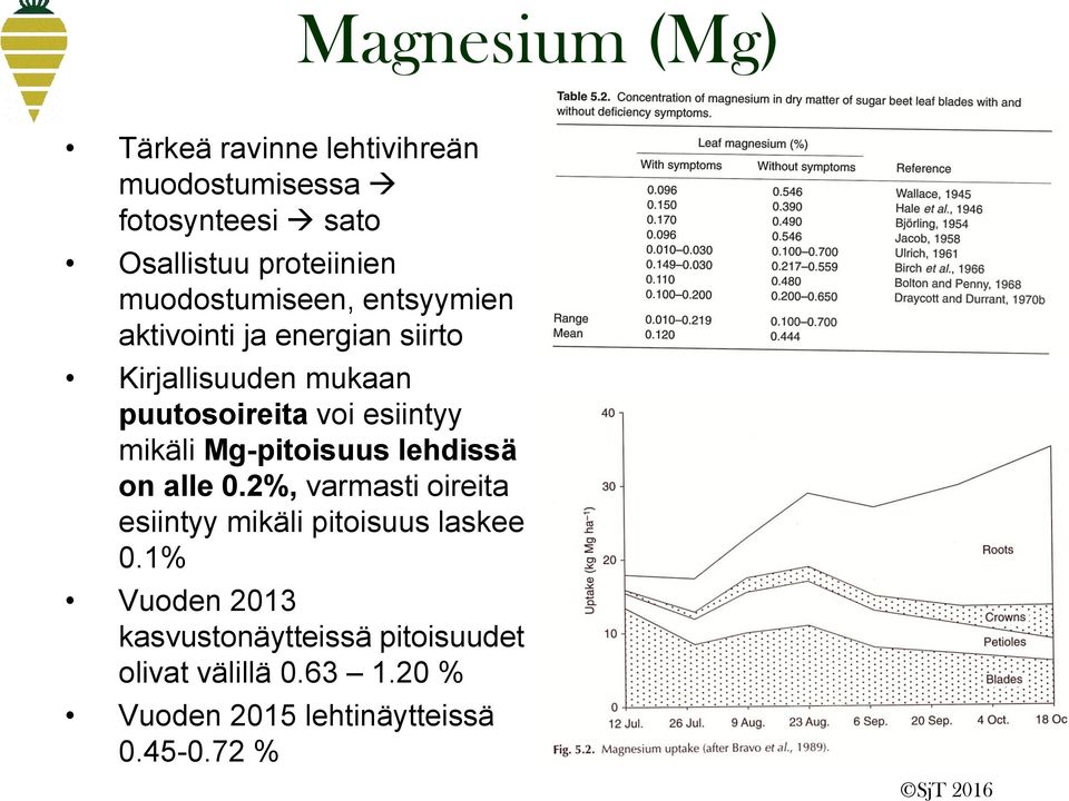 esiintyy mikäli Mg-pitoisuus lehdissä on alle 0.2%, varmasti oireita esiintyy mikäli pitoisuus laskee 0.