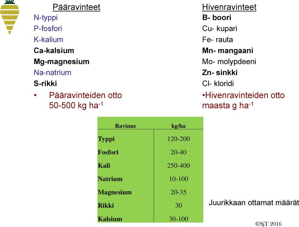 Mo- molypdeeni Zn- sinkki Cl- kloridi Hivenravinteiden otto maasta g ha -1 Ravinne kg/ha Typpi