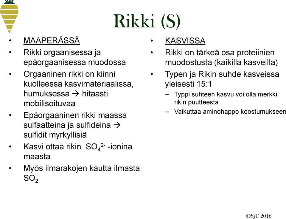 4 2- -ionina maasta Myös ilmarakojen kautta ilmasta SO 2 KASVISSA Rikki on tärkeä osa proteiinien muodostusta (kaikilla kasveilla)