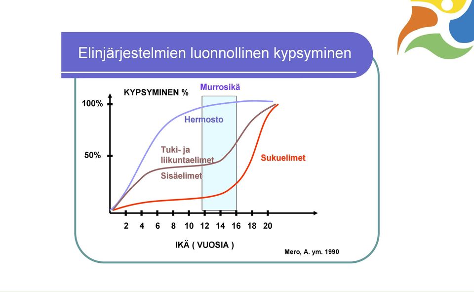 liikuntaelimet Sisäelimet Sukuelimet 2 4 6 8