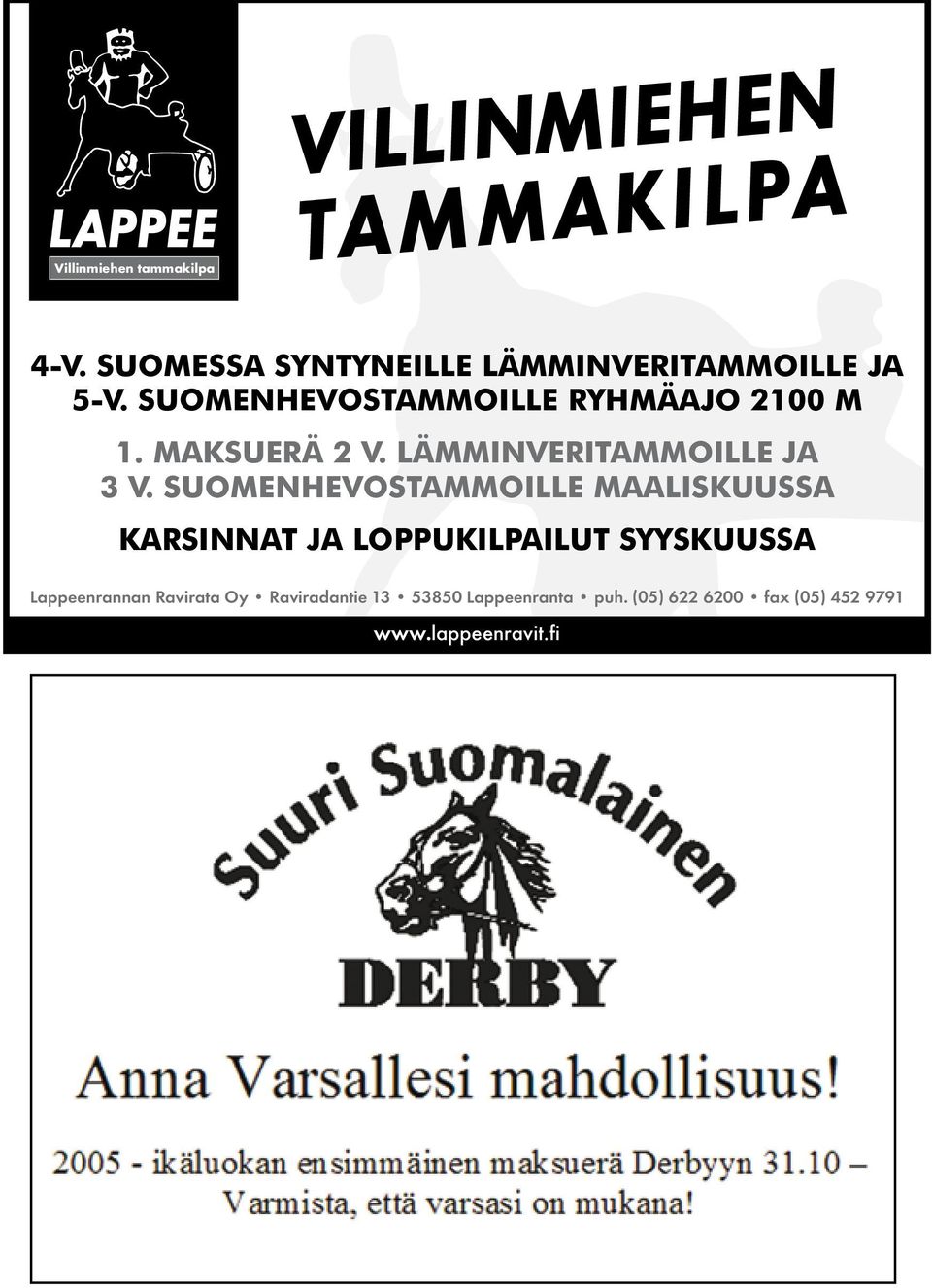 MAKSUERÄ 2 V. LÄMMINVERITAMMOILLE JA 3 V.